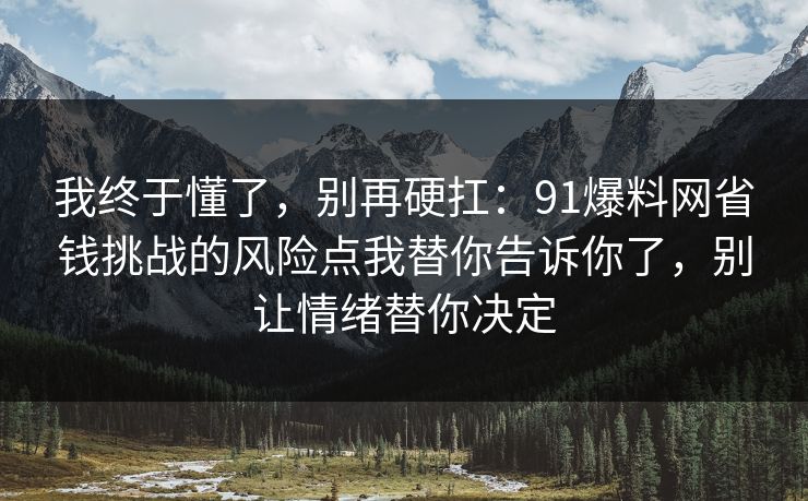 我终于懂了，别再硬扛：91爆料网省钱挑战的风险点我替你告诉你了，别让情绪替你决定